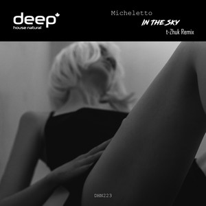 In the Sky (T-Zhuk Remix)