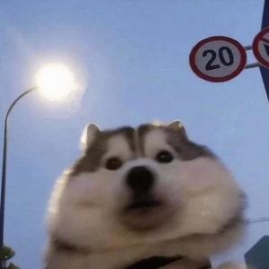 acceleracers (feat. 1sloan) (Explicit)