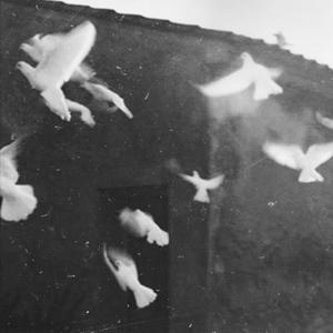 corsican. (feat. Prod By Esco) (Explicit)