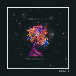 Why Dont You Love (Original Mix)
