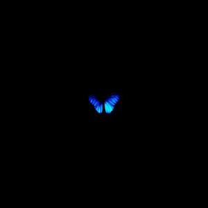 butterflies (Explicit)