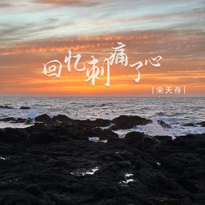 回忆刺痛了心 (DJ版)