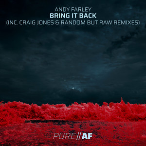 Bring It Back (Craig Jones Remix|2025 Remixes)