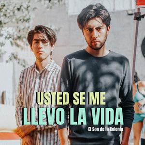 Usted se me llevo la Vida