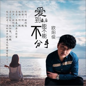 爱到最后能不能不分手 (DJ何鹏版)