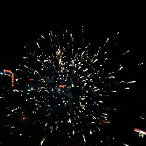 过了今年我想回家 demo