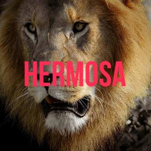 HERMOSA (Explicit)