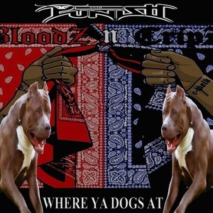 Where Ya Dogs At (Explicit)