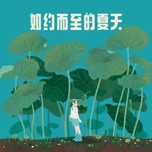 如约而至的夏天（吉它曲）