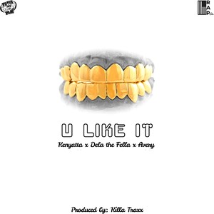 U Like It (Explicit)