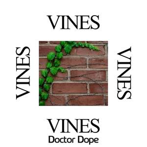 VINES (Explicit)