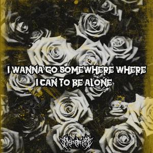 I wanna go somewhere where i can to be alone (feat. Filipciuc) [Explicit]