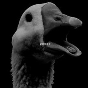 Goose (Explicit)