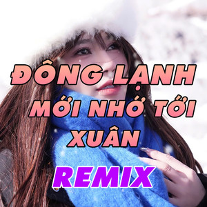 Đông Lạnh Mới Nhớ Tới Xuân VNH