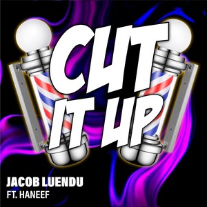 Cut It Up (feat. Haneef)