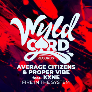 Fire In The System (Radio Edit)