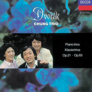 Piano Trio No. 1 in B-Flat Major, Op. 21, B. 51 - IV. Finale. Allegro vivace (Allegro vivace)