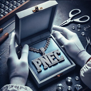 PNEC, VOL.1 (Explicit)