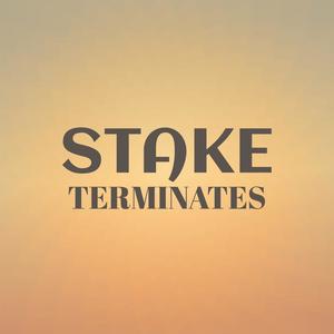 Stake Terminates