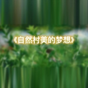 自然村美的梦想