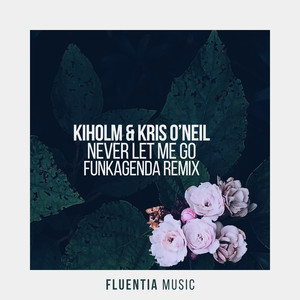 Never Let Me Go (Funkagenda Extended Remix)