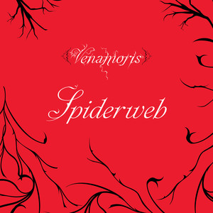 Spiderweb