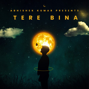 Tere Bina