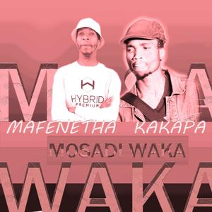 Mosadi Waka