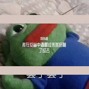 我 在 反 省 中 清 醒 过 来 然 后 睡 了 过 去