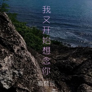 我又开始想念你
