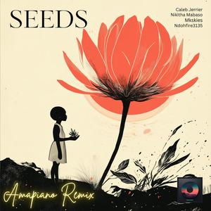 Seeds (feat. Nikitha Mabaso) (Amapiano Remix)
