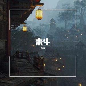 若雨 / 若雨-共渡来生原版DJ (若雨 remix)