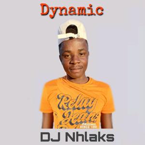 Dynamic (Explicit)