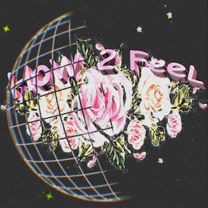 How 2 Feel(feat. Goner) (Explicit)