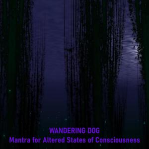 Mantra for Altered States of Consciousness(Self Awareness)