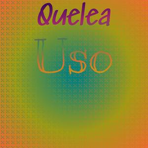 Quelea Uso