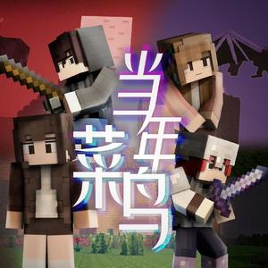 当年菜鸟(【Minecraft拜年祭】2020-万梦云集)