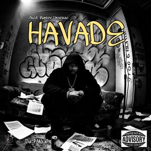 Havade