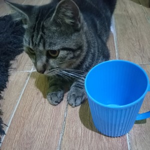 Kau tlah ingkar janji