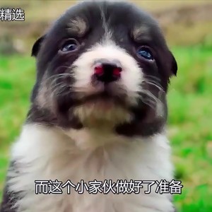 G-2r - “I am the man” (Basss Free)