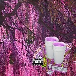 weeping willow (feat. prod.pvrvnormvl) (Explicit)