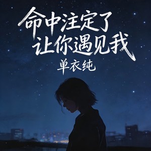 命中注定了让你遇见我