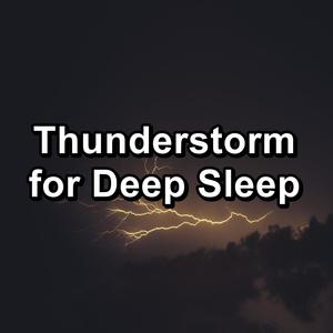 Medium Rain Showers with Sleeping Music