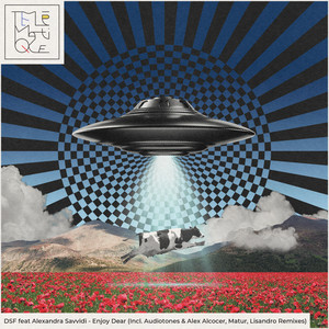 Enjoy Dear (Audiotones, Alex Alcocer Remix)