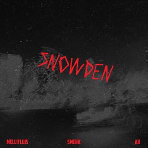 Snowden (feat. Mellifluis & AK) [Explicit]