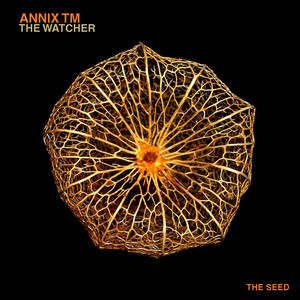 The Watcher (Original Mix)