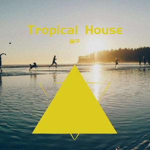 Tropical house