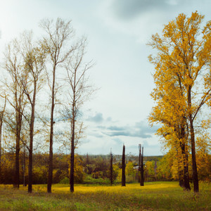 Осінній вітер