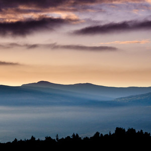 没你也能活下去 (闪电霹雳啪啪版)