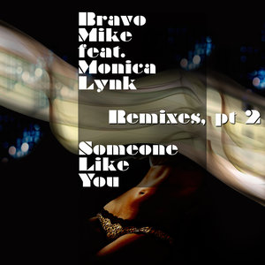 Someone Like You Remixes Part 2 (feat. Monika Lynk)